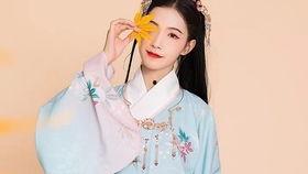 赤菊在线观看,揭秘神秘古墓的奇幻冒险之旅